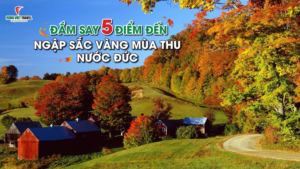mua-thu-nuoc-duc