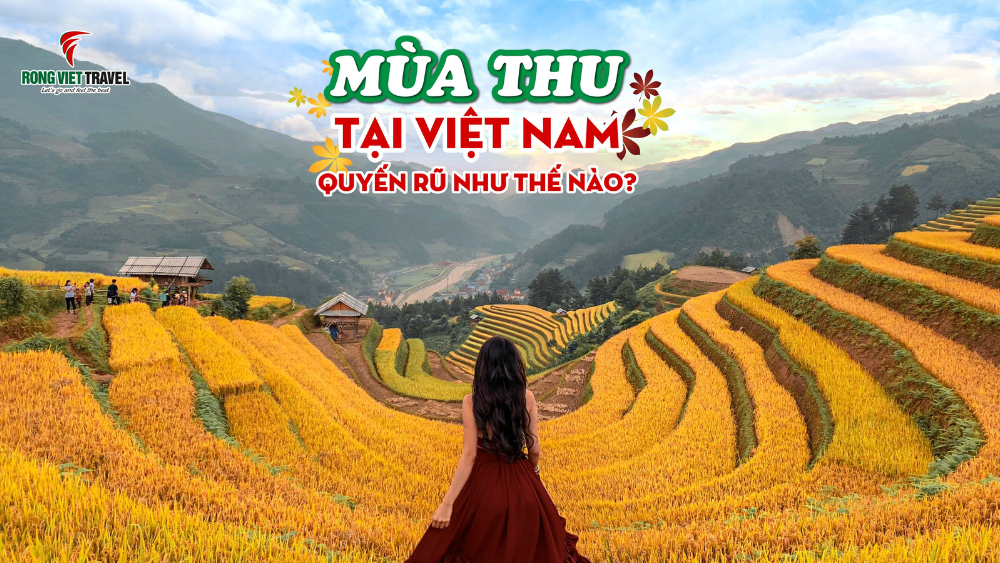 mua-thu-viet-nam